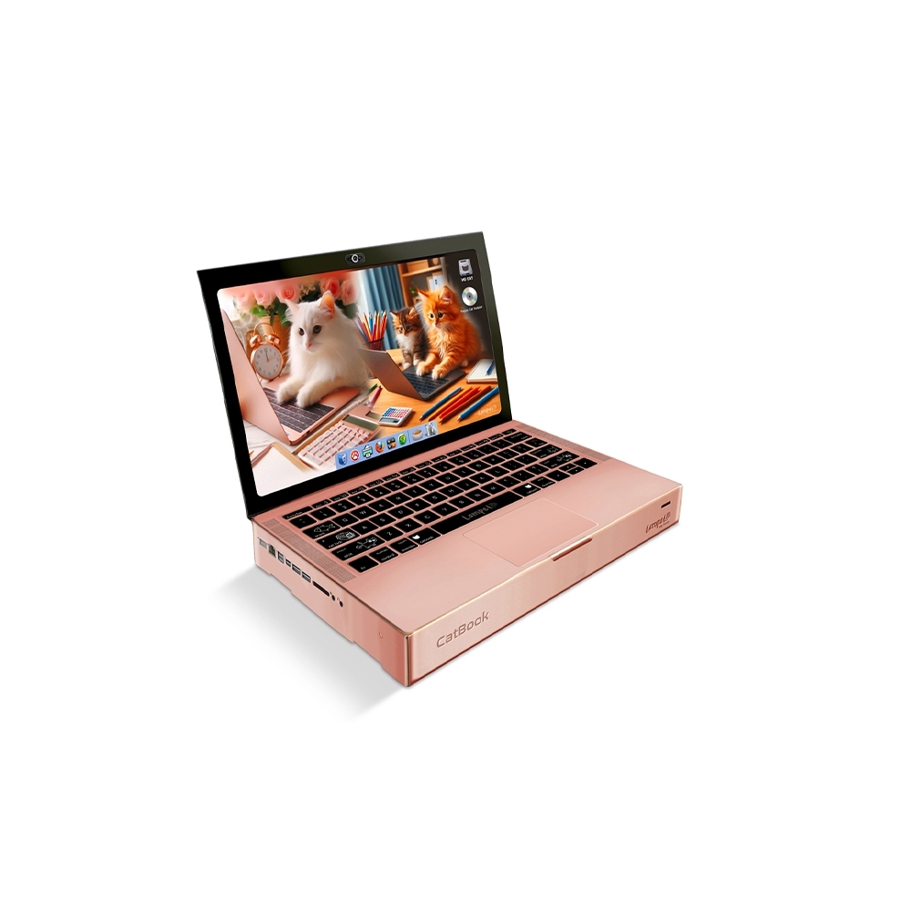 Cat Book Arranhador P/gatos Notebook Interativo C/ Guiz-ARCAT01